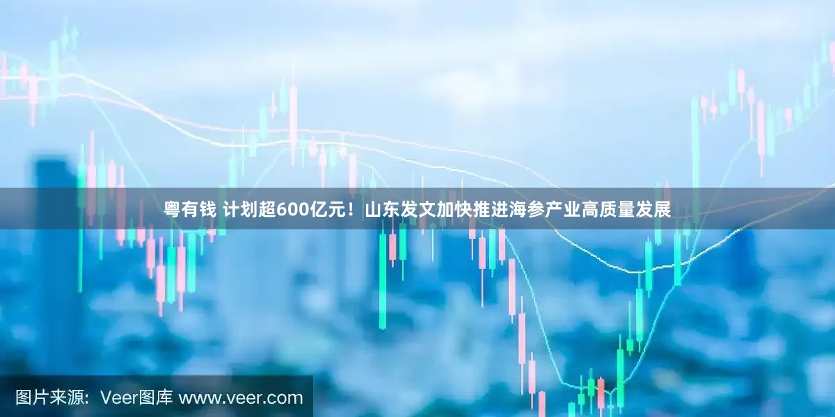 粤有钱 计划超600亿元！山东发文加快推进海参产业高质量发展